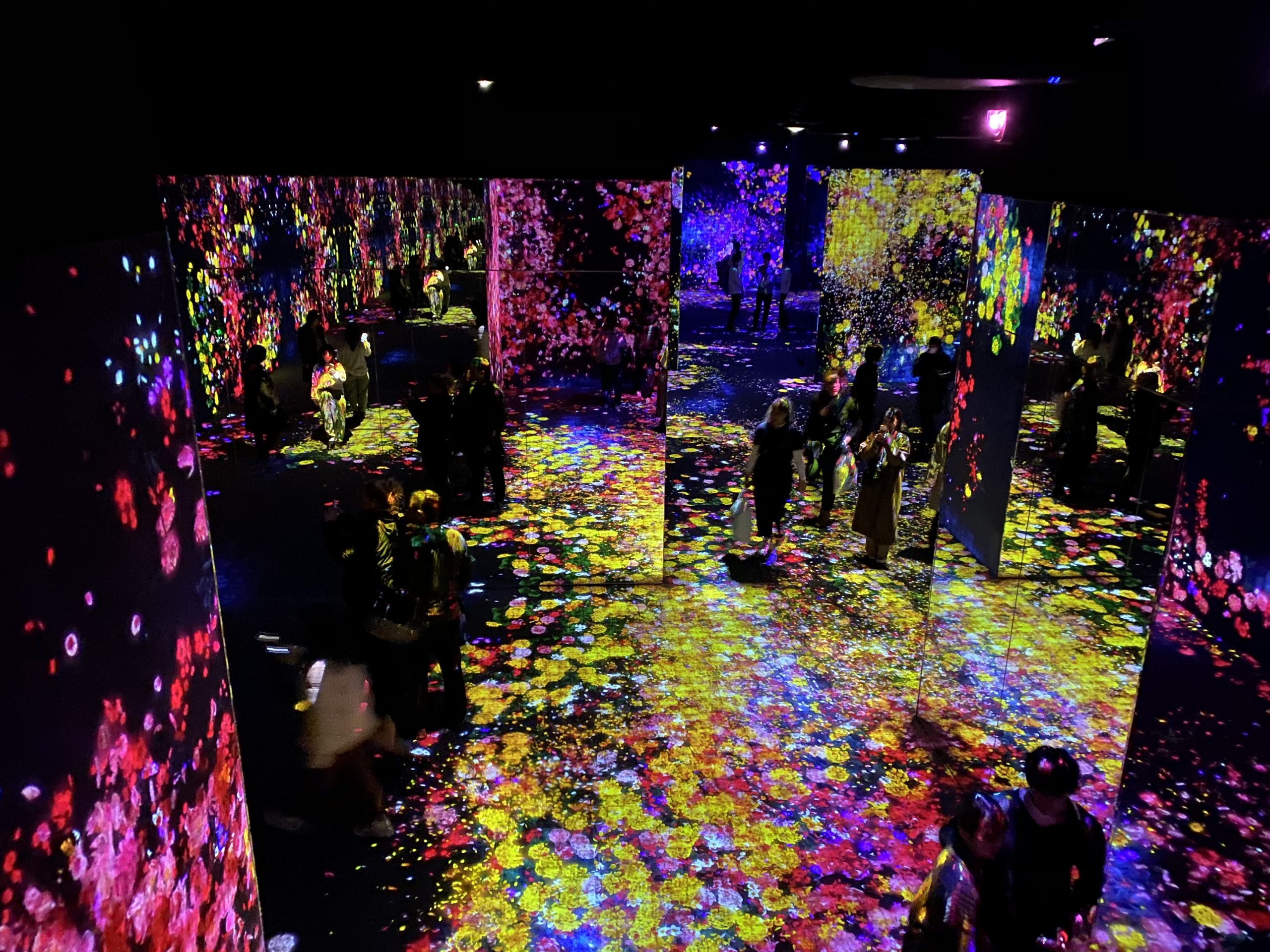 Flowers are projected onto every surface of the room creating a borderless feel