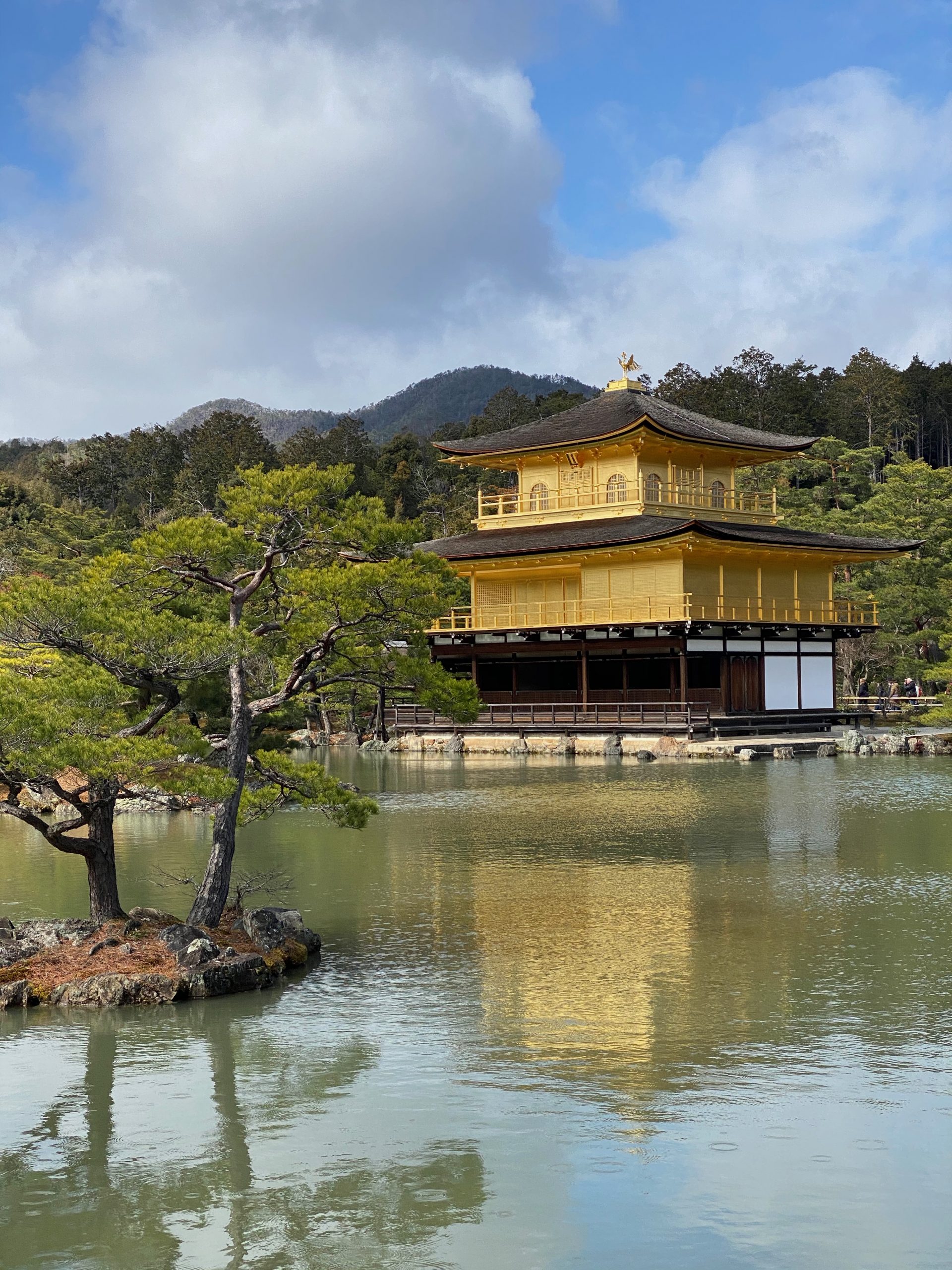 A golden temple with a nice lake in front and a tree on a mini island in the water