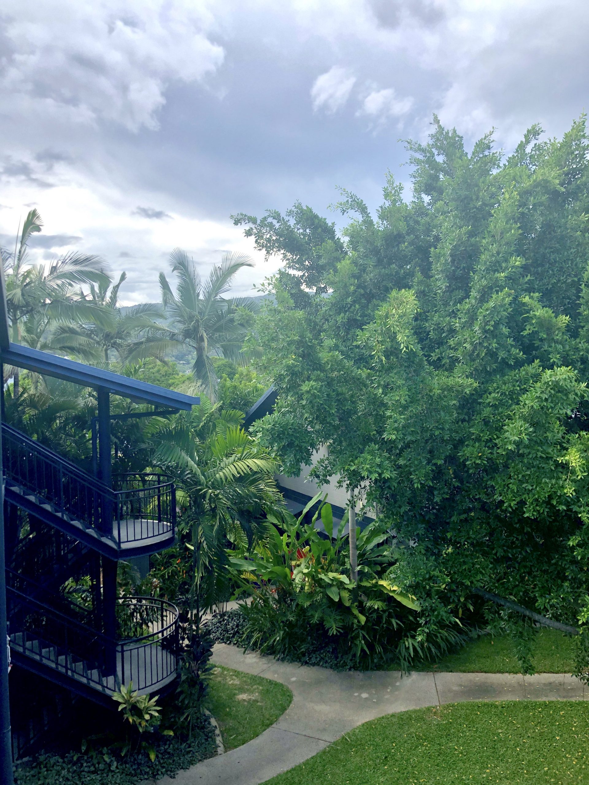 A rainforest view of Christina's apartment. 