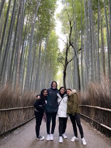 Four girls stand on a path bordered by tall bamboo trees.