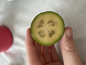 A cut feijoa. The flesh of the fruit is light green.