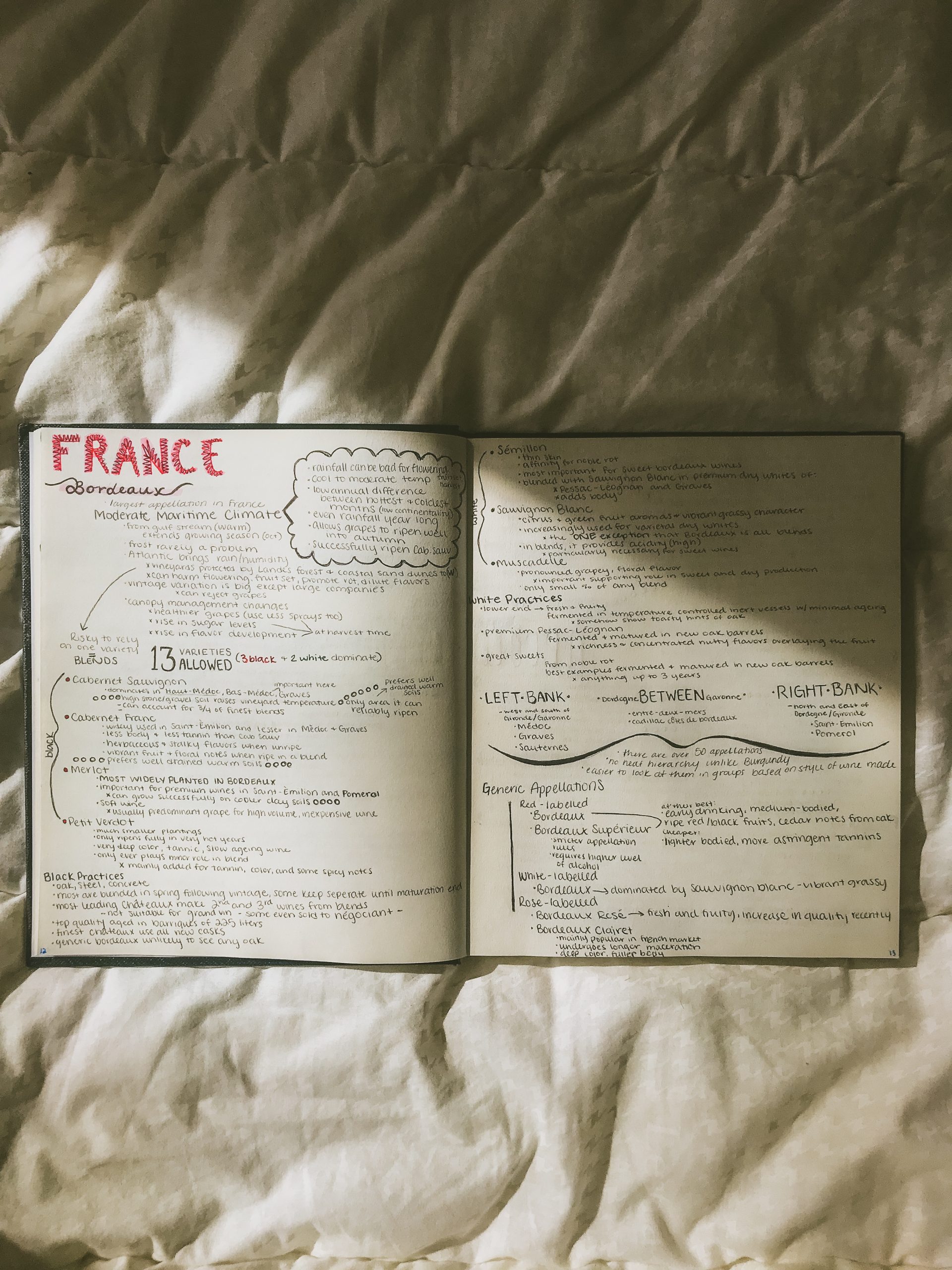 Student's journal about France.