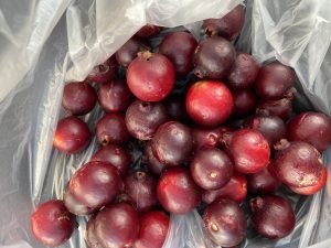 Small red fruits in a plastic bag.
