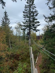 The view from the top of a ropes course, with a student on the platform across the obstacle