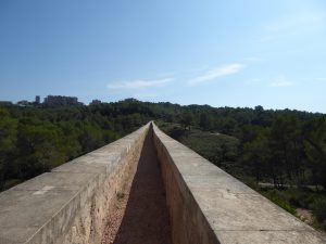 The rails on top of the aqueduct are clay-colored. Down the middle is a narrow pathway. In the background is a forest of trees. 