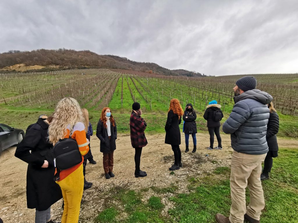 A group of students visiting a vineyard to learn about ongoing research.