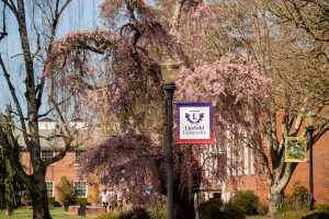 Linfield University banner with spring blooms