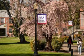 Linfield Trustees to Consider Adding Faculty Representatives to Board